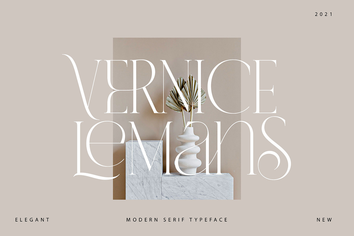VERNICE LEMANS, a Serif Font by NYDESIGN (Photo 1 of 10)
