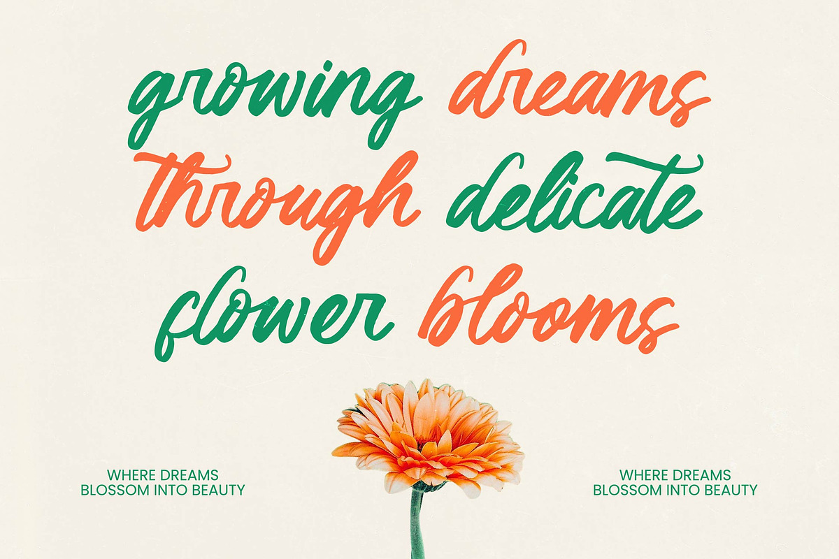 Klaribela - Bold Calligraphy Font, a Script Font by Letterena Studios Script (Photo 2 of 10)