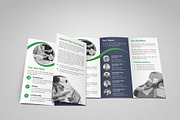 Business Trifold Brochure V2, a Brochure Template by SamiSimply7 (Thumbnail 5 of 5)