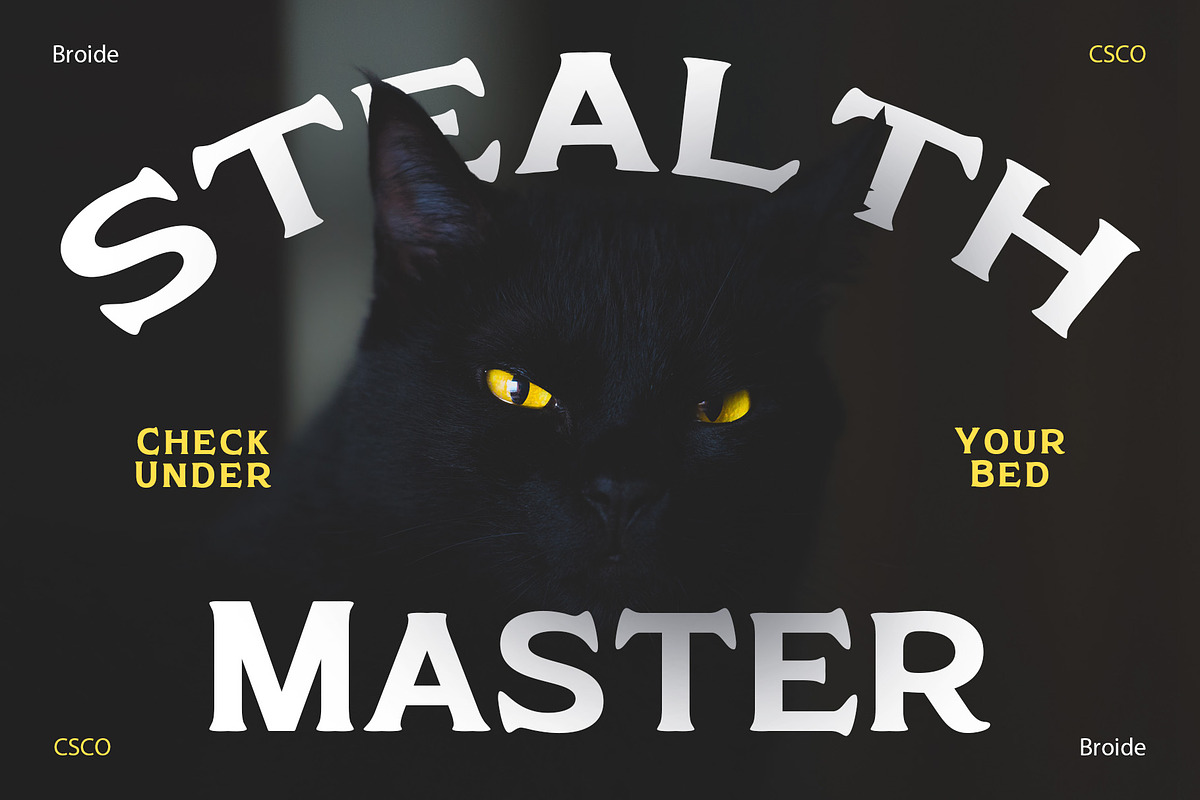 Broide – Display Serif, a Serif Font by Craft Supply Co. (Photo 2 of 8)