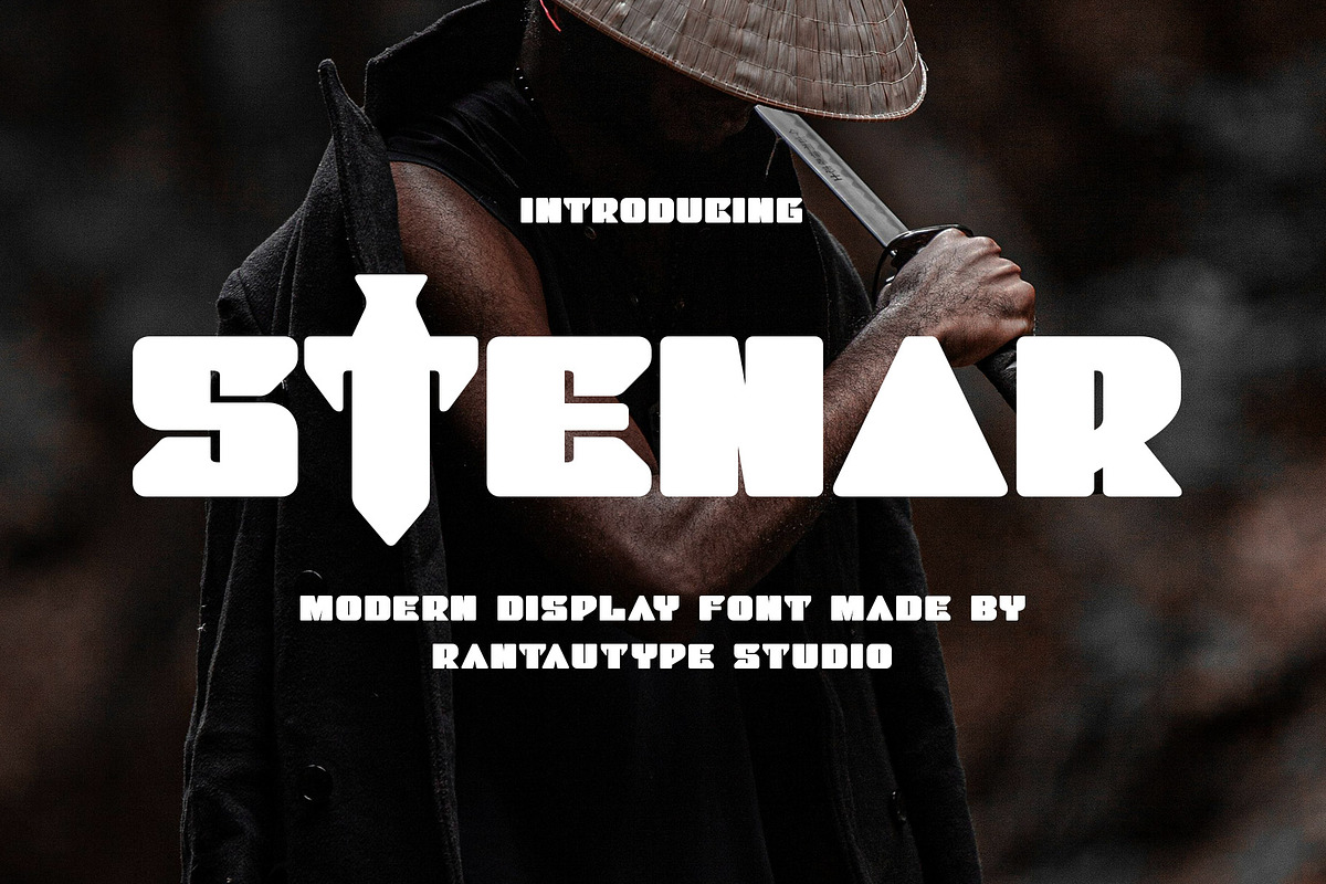 Stenar Modern Display Font, a Sans Serif Font by RantautypeStudio (Photo 1 of 17)