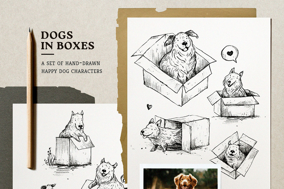 Dogs in Boxes Graphic Set, an Animal Illustration by Yeticrab (Photo 3 of 13)