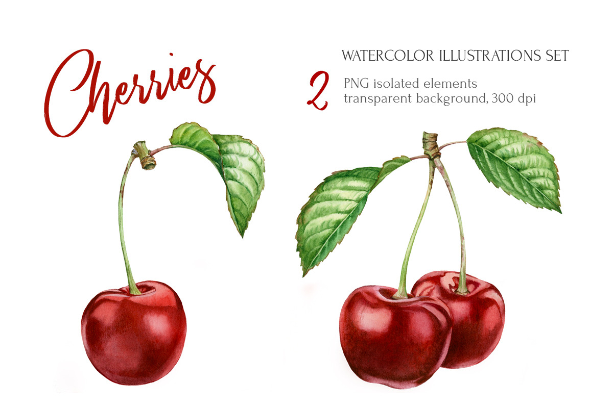 Cherry Branch Watercolor Set, a Food Illustration by Akvarelldesign