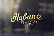 Slugger - Vintage Family Font, a Script Font by DonMarciano (Thumbnail 4 of 5)