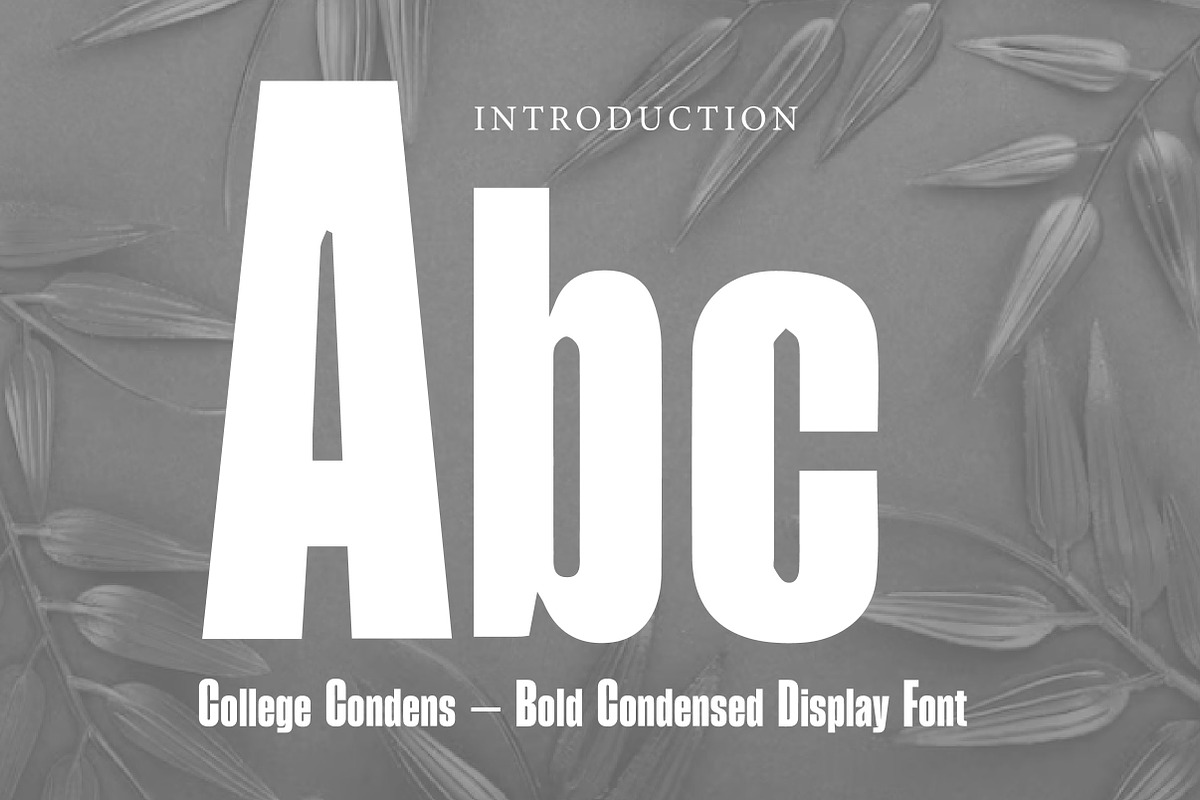 College Condens, a Slab Serif Font by Wow Magic (Photo 2 of 3)