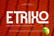 Etrixo - Modern Ligature Sans Font, a Sans Serif Font by RagamKata (Thumbnail 1 of 10)