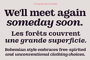 DT Augustina Slab 3 Subfamily, a Slab Serif Font by Deveze Type Foundry (Thumbnail 11 of 31)