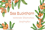 Sea Buckthorn Watercolor Clipart, a Food Illustration by Milla_Zelenyuk_art (Thumbnail 1 of 4)