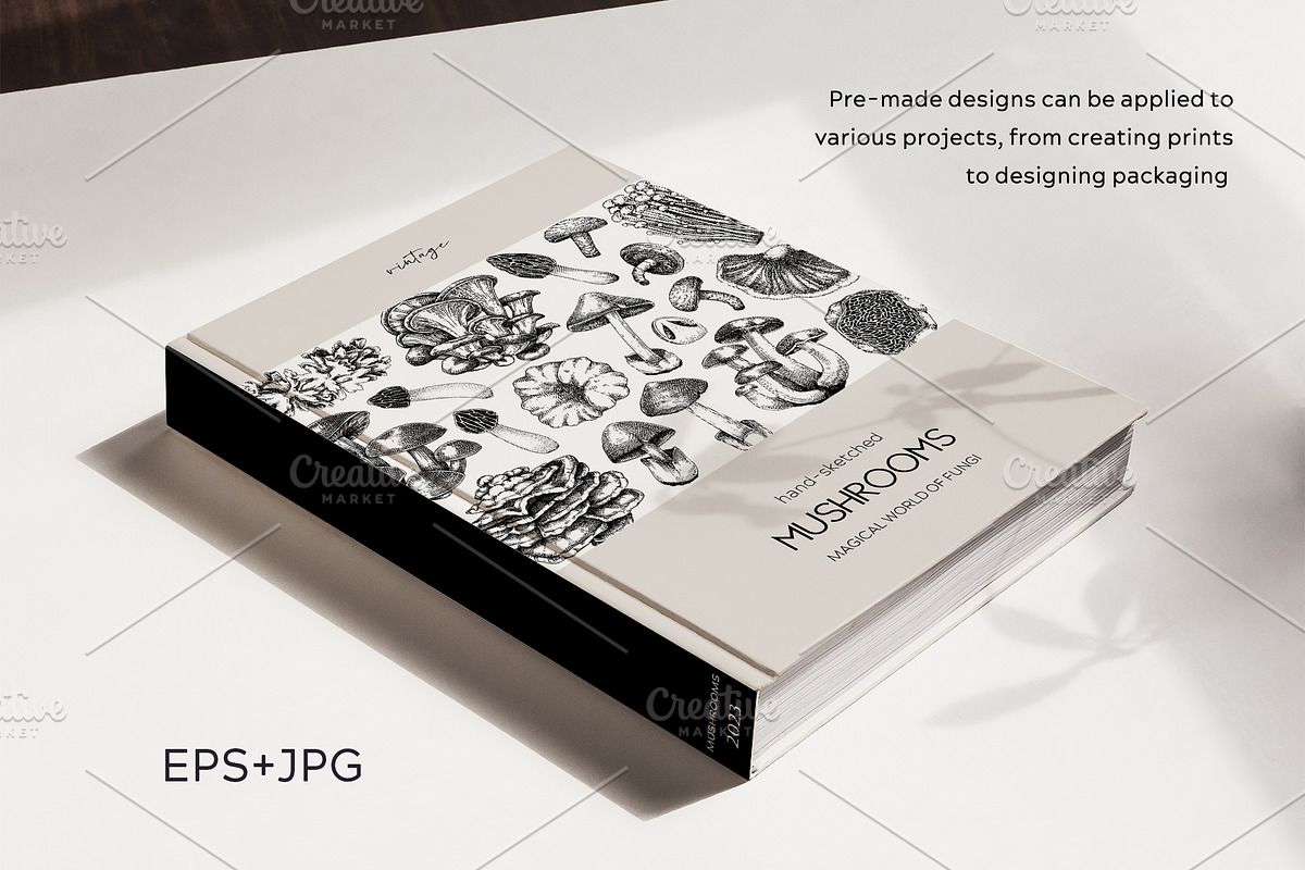 Mushrooms Vector Illustration Set, an Object Illustration by Yevheniia (Photo 11 of 14)