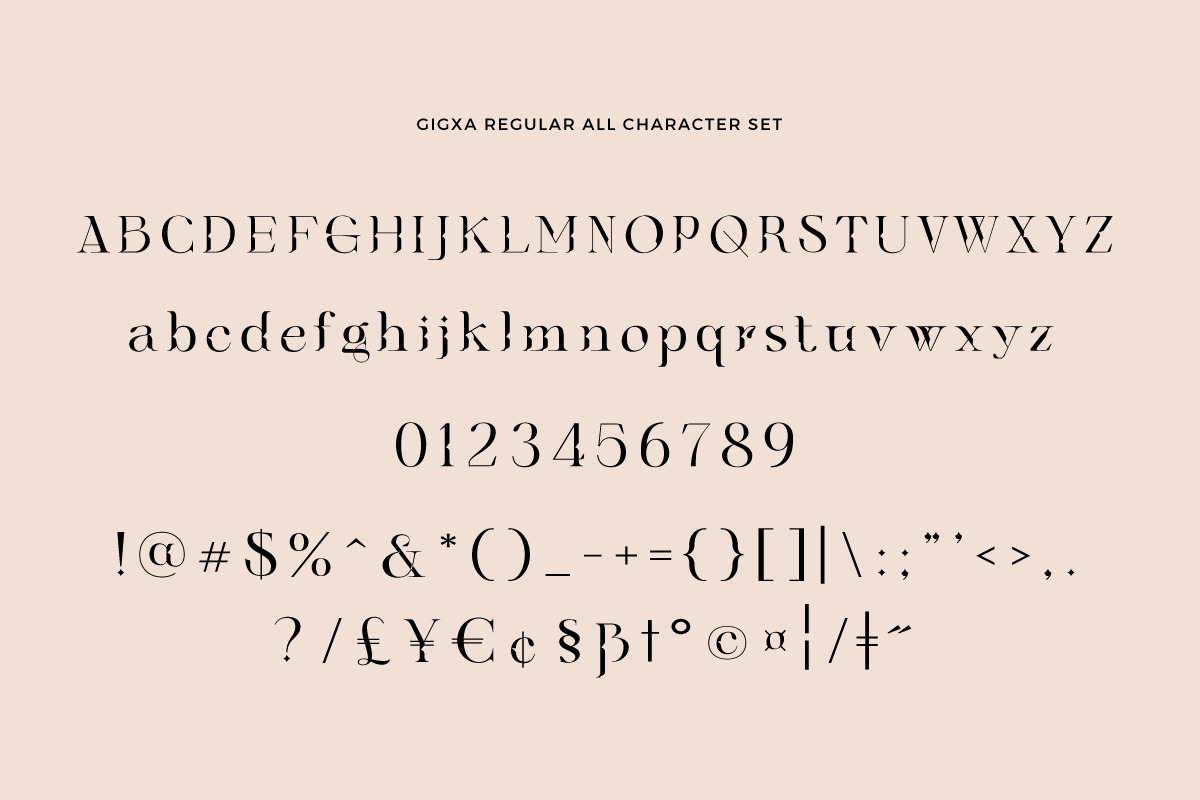 Gigxa - Stylist Chic Serif Ligature, a Sans Serif Font by Identy Studio (Photo 11 of 15)