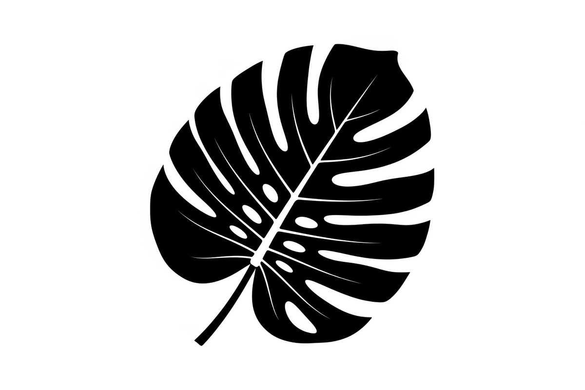 Monstera Leaf Silhouette Bundle, an Illustration by yasushie (Photo 19 of 31)