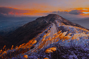 454 Infrared Fantasy Pro LUTs, a Preset Add-On by ShutterPro (Thumbnail 36 of 48)