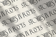 Roesent | Font Duo, a Script Font by Lemonthe (Thumbnail 6 of 11)