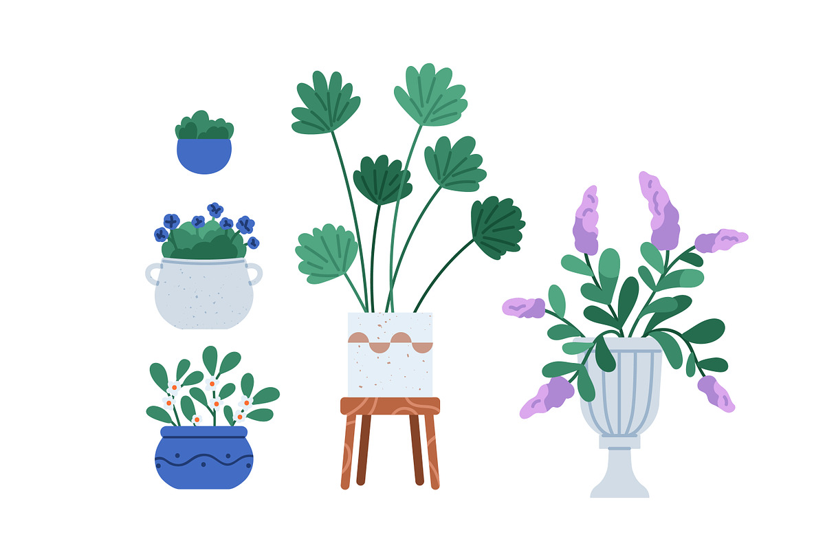 House plants, flowers in pots set, an Object Illustration by Good Studio (Photo 5 of 5)