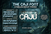 Cajiju - Sophisticated Serif, a Serif Font by Astuti Studio (Thumbnail 13 of 24)