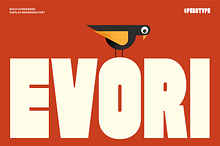 Evori - Bold Condensed Display Font