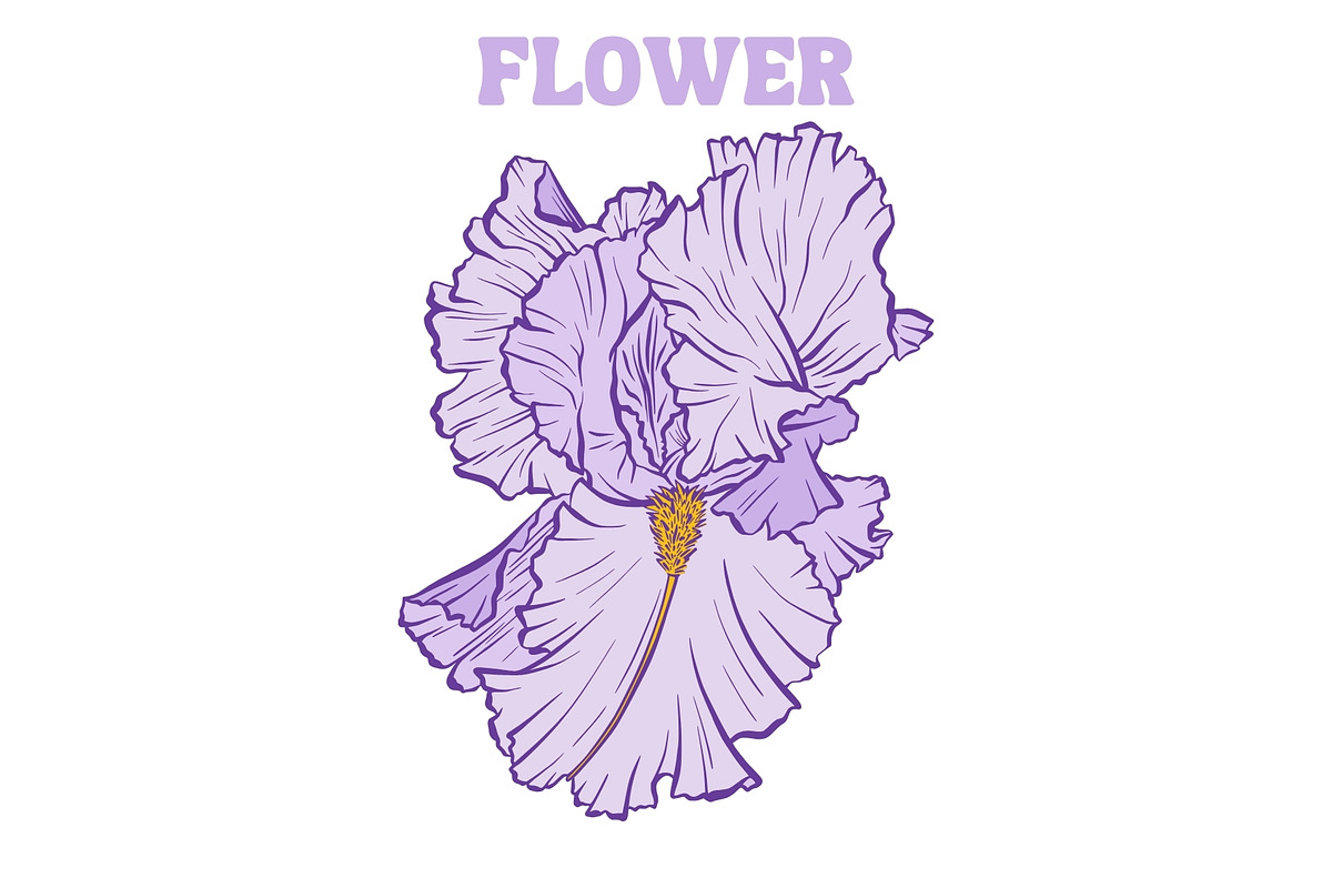 Iris Flower Purple Line Art Vector, an Illustration by ilonitta (Photo 4 of 7)