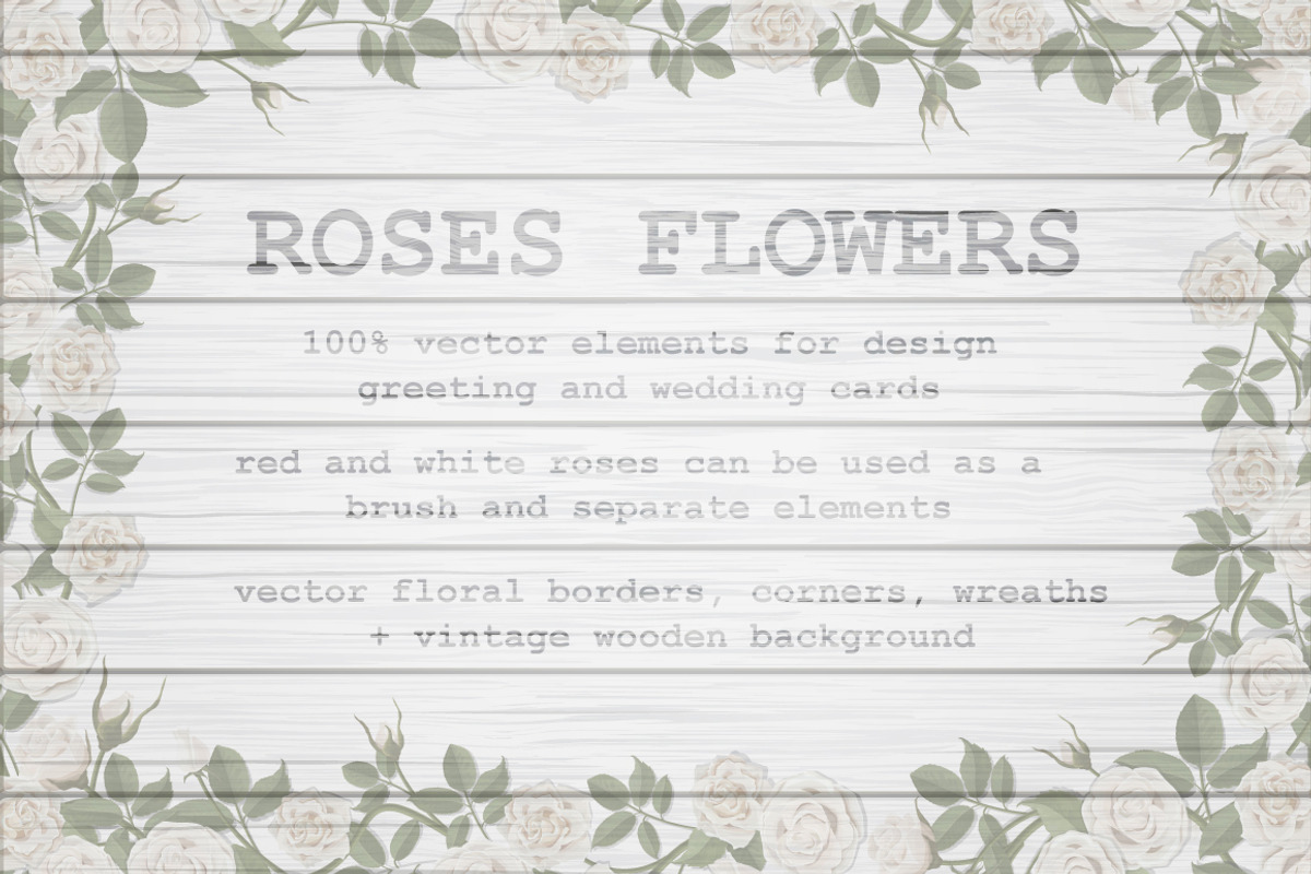Set of white and red vector roses, an Illustration by belander (Photo 2 of 10)