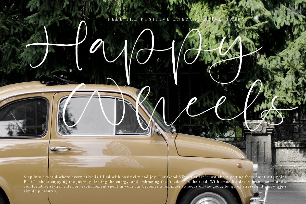 Paradis Heart, a Handwritten Font by operatype.co (Photo 6 of 15)