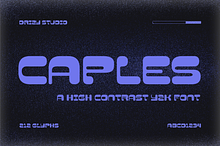 Caples - Y2K High Contrast Font
