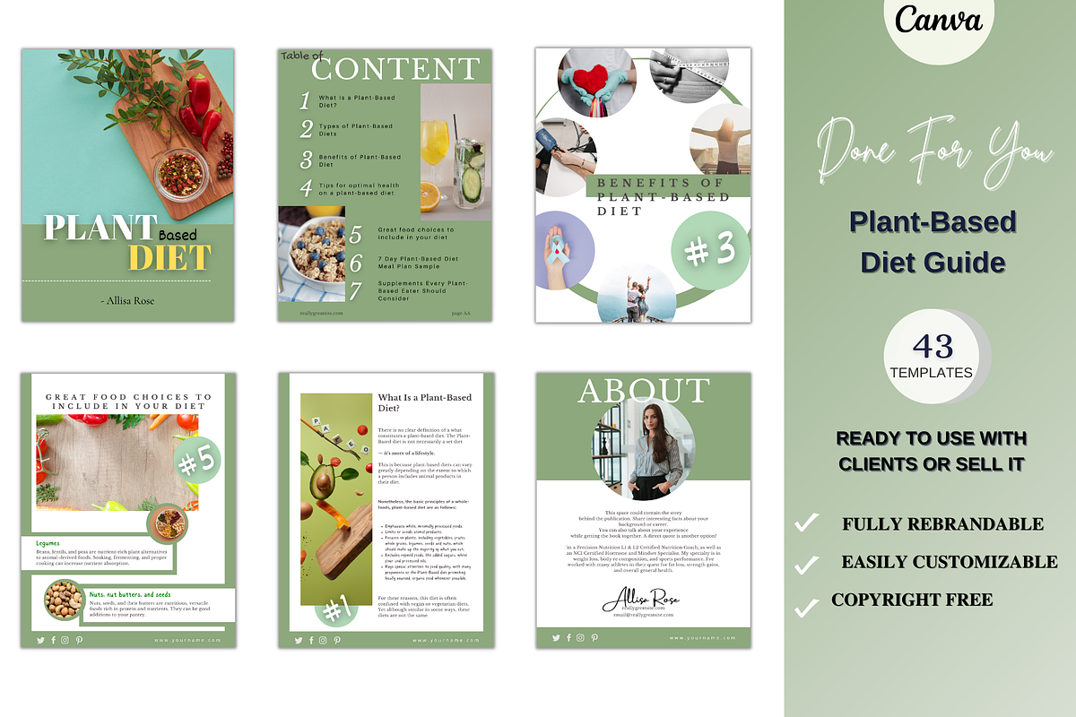Plant-Based Diet Guide, a Books & Magazine Mockup by Millennials Marketing (Photo 1 of 7)