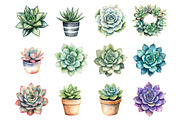Watercolor Succulents Clipart, an Illustration by Design Market (Thumbnail 3 of 3)