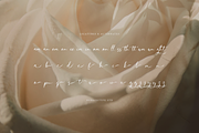 Haniquta | Beauty Calligraphy Script, a Script Font by gracetype_studio (Thumbnail 11 of 12)