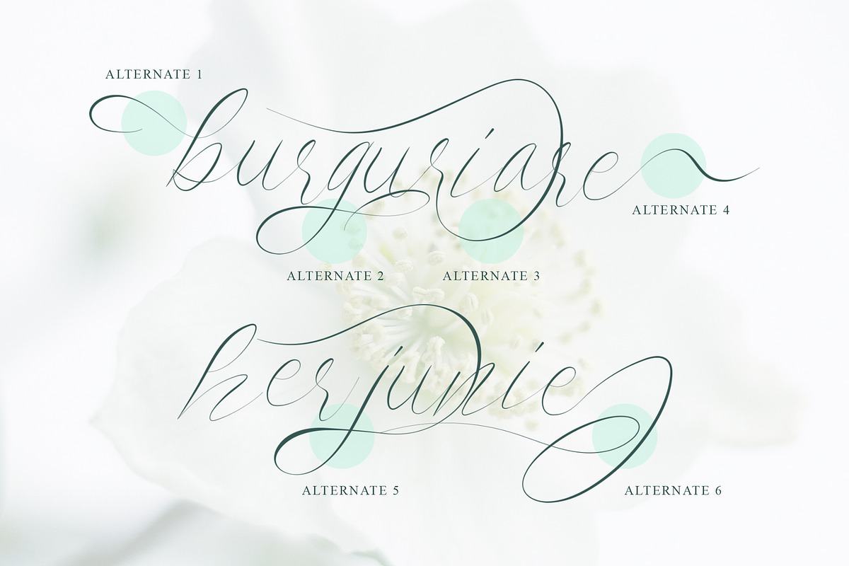 Saint Flow - Beauty handwritten, a Script Font by Brightone (Photo 2 of 9)