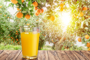 Glass of orange juice on wooden board or table top and blurred o, a Food & Drink Photo by Volff