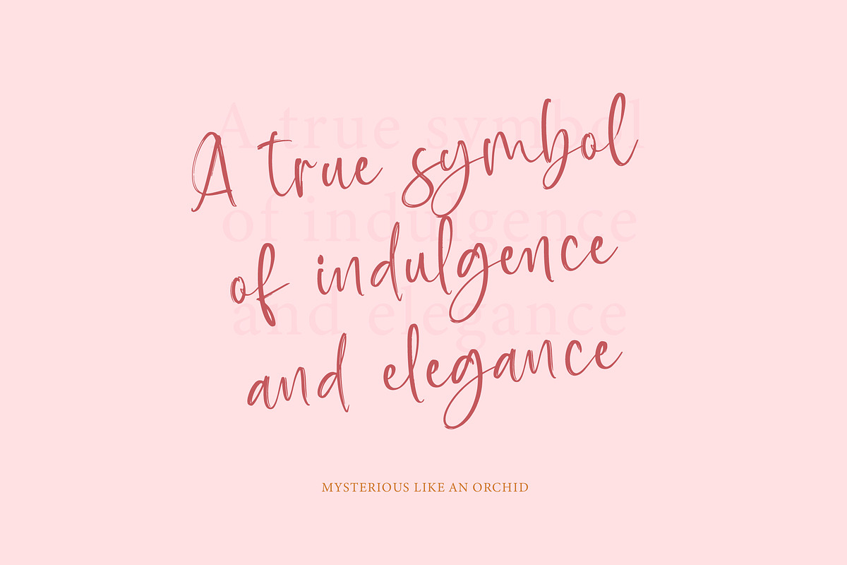 Baplosy Startera Bold Brush Font, a Script Font by Letterena Studios Script (Photo 2 of 20)