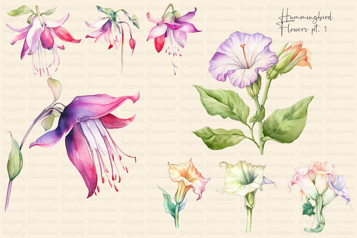 Watercolor Hummingbird and Flowers, an Animal Illustration by Dazzling Art Boutique (Photo 4 of 8)