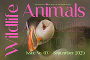 Ragaen Modern Display Sans Serif, a Sans Serif Font by Jaruka (Thumbnail 7 of 10)