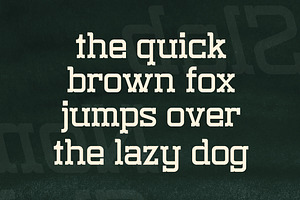 Nomaden Slab Stylish Slab Serif Font