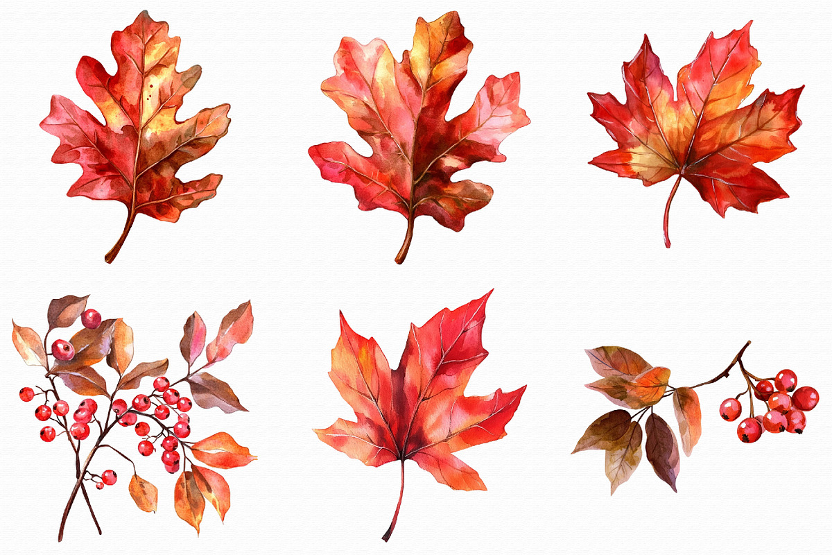 Watercolor Fall Clipart, an Illustration by Libby Wishes (Photo 2 of 6)