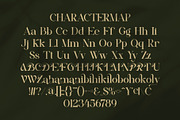 Bikary || Modern Classy Serif Font, a Serif Font by Ermedia Studio (Thumbnail 10 of 10)