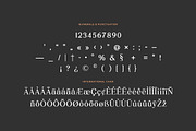 Daily Magazine Serif Display Font, a Serif Font by UICreative (Thumbnail 10 of 13)