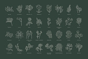 Floral Illustration Set, a Decorative Illustration by iStar Design (Thumbnail 6 of 13)