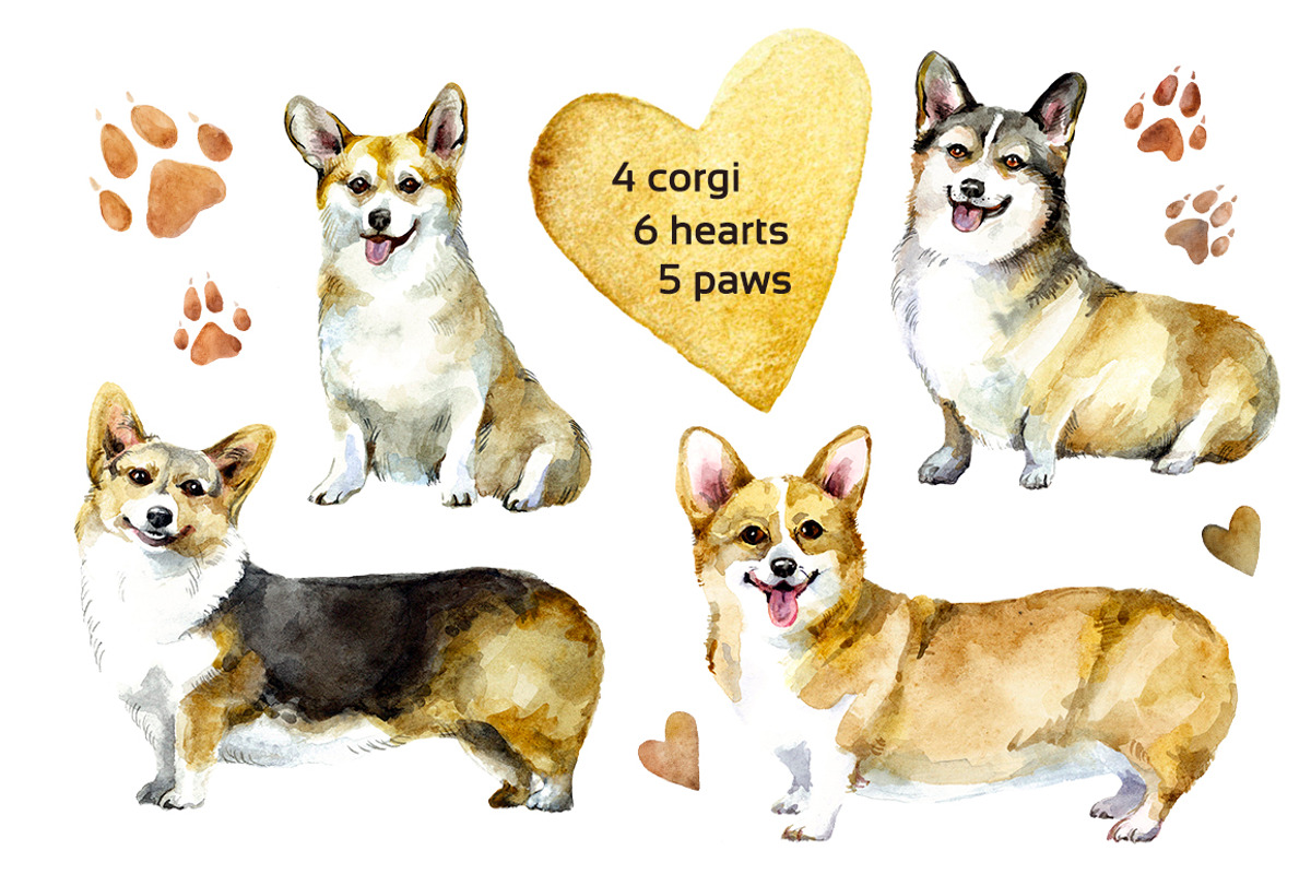 Happy corgi Watrcolor set, an Animal Illustration by Green_leaf_17 (Photo 2 of 3)