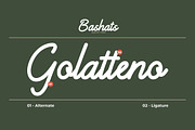 Bashats - Script Monoline Font, a Handwritten Font by twinstd (Thumbnail 6 of 7)