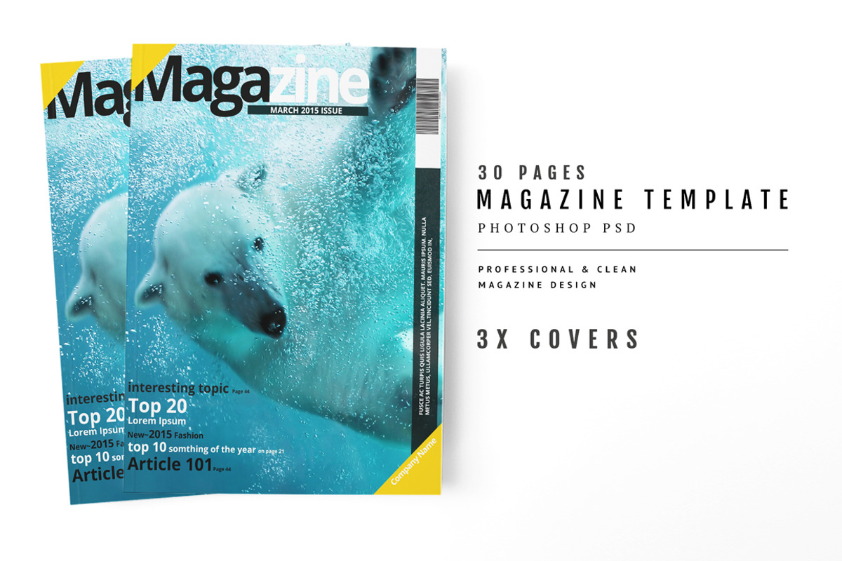 Magazine Template 39, a Magazine Template by pmvch (Photo 1 of 15)
