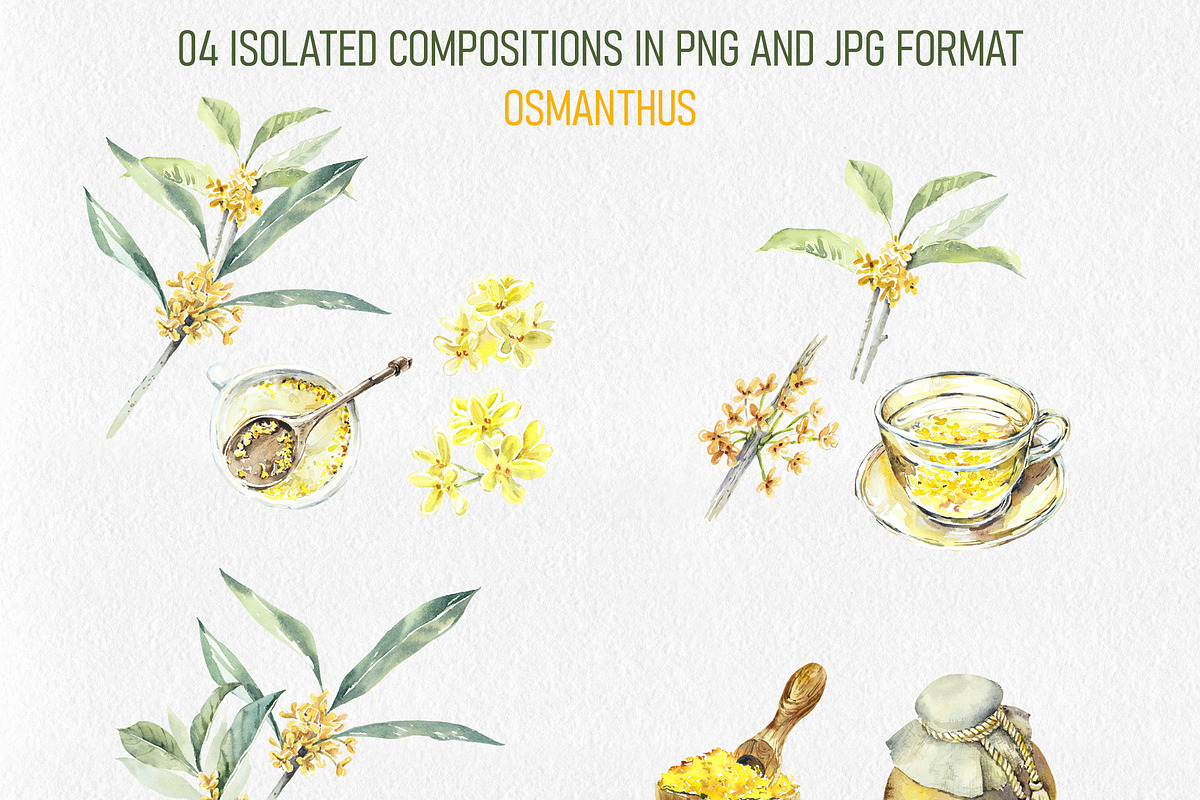 Golden Osmanthus Health Tea, a Food Illustration by Budogoshch (Photo 5 of 8)