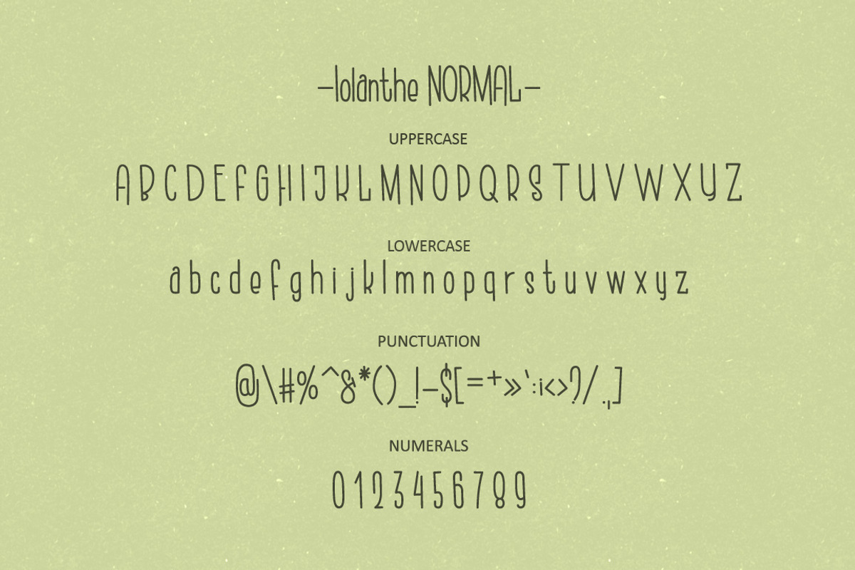 Iolanthe. Retro Handwritten Font. preview 6