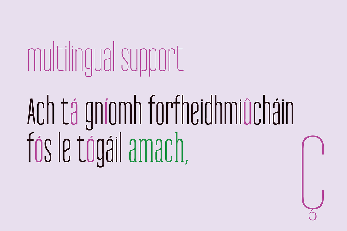 Reformer Font, a Serif Font by Jadugar Design Studio (Photo 8 of 11)