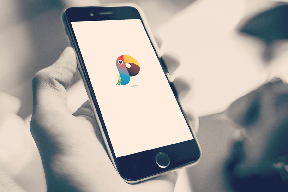 Famo Parrot Logo Template, a Branding & Logo Template by N_thirteen (Photo 2 of 5)