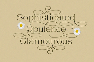 Daisy & Violette - Stylish Serif