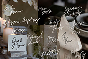 100 hand lettered PNG Wedding Sign, a Handwritten Font by Ivyandpalette (Thumbnail 5 of 6)