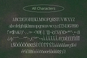 Risley Vintage, a Serif Font by Craft Supply Co. (Thumbnail 2 of 8)