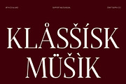 CS Alland – Classic Serif Font, a Serif Font by Craft Supply Co. (Thumbnail 7 of 8)
