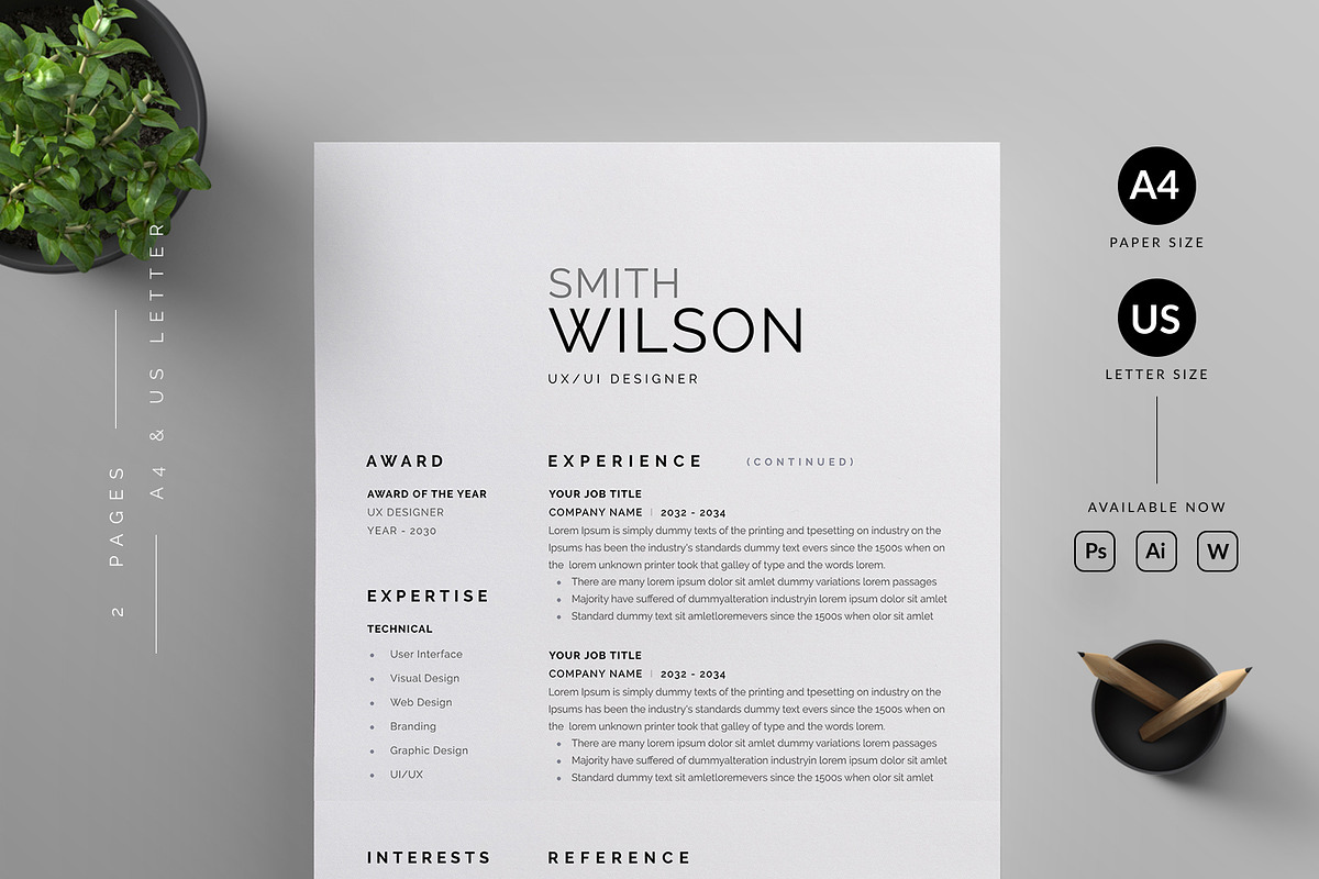 Resume/CV preview 2