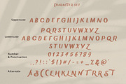 Chammer Beauty - Classic Sans DISC%, a Sans Serif Font by Anxiety Studio (Thumbnail 14 of 15)